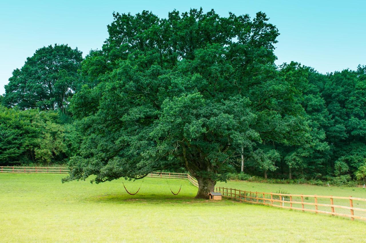 Hidden Wood Glamping And The Hideaway Cabin Warminster Bagian luar foto
