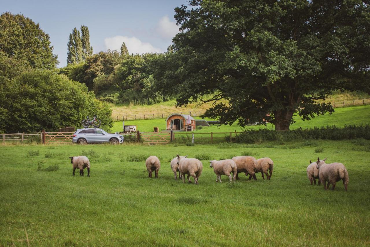 Hidden Wood Glamping And The Hideaway Cabin Warminster Bagian luar foto